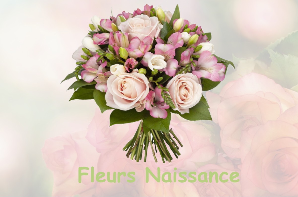 fleurs naissance VILLENEUVE-LES-CHARNOD