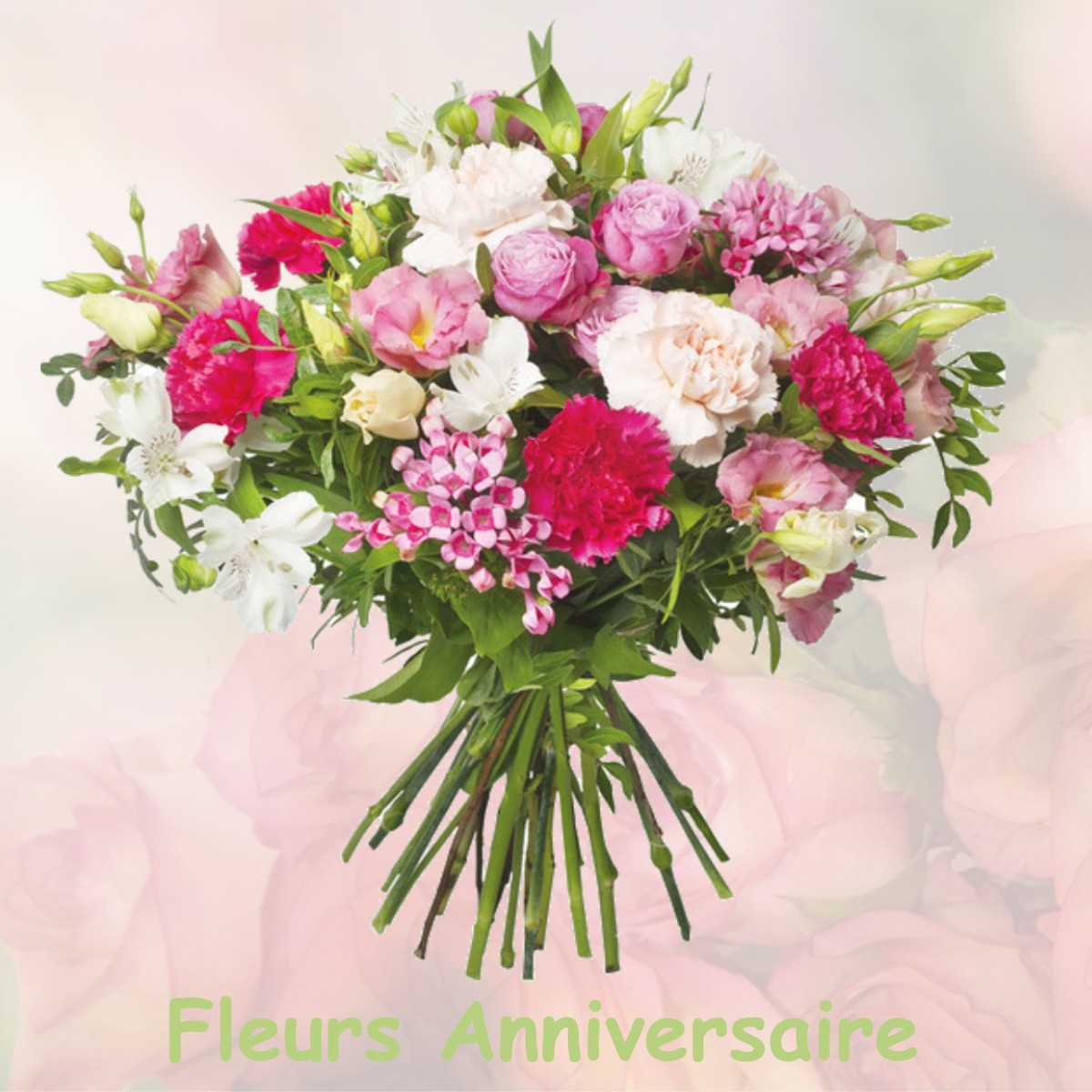 fleurs anniversaire VILLENEUVE-LES-CHARNOD